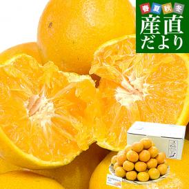 和歌山県 JA紀南 糖度12度以上厳選「ゆら早生」等級：極天 LからSサイズ 約3キロ(24玉から36玉前後) 送料無料 みかん 蜜柑 柑橘 
