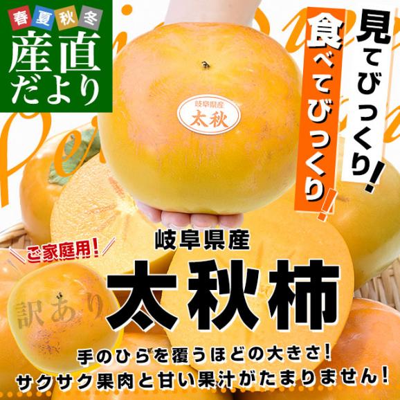 岐阜県 JAいび川 ご家庭用訳あり 太秋柿(たいしゅうかき) 3.5キロ前後(8玉から10玉入り) 送料無料 大玉柿 柿 かき 市場発送02