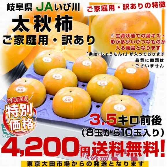 岐阜県 JAいび川 ご家庭用訳あり 太秋柿(たいしゅうかき) 3.5キロ前後(8玉から10玉入り) 送料無料 大玉柿 柿 かき 市場発送03
