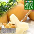 新潟県産 JAえちご中越 糖度13度以上 大玉梨 新興 「最上位等級：糖鮮確実 (とうせんかくじつ)」 大玉 約2キロ (4玉) 送料無料 なし ナシ