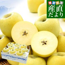 長野県産 JAあづみ 安曇野 シナノゴールド 約3キロ （8玉から10玉） 送料無料 りんご 林檎 