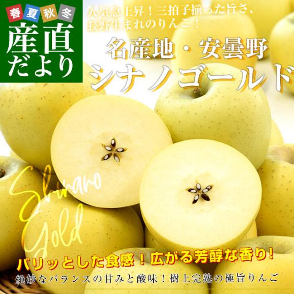 青森県産＂ シナノゴールド ＂りんご 加工用 20kg 産地直送