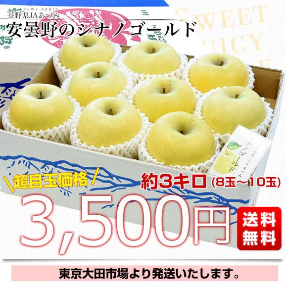 長野県産 JAあづみ 安曇野 シナノゴールド 約3キロ （8玉から10玉） 送料無料 りんご 林檎 市場発送03