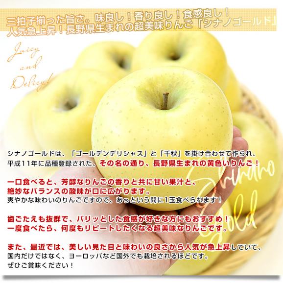 長野県産 JAあづみ 安曇野 シナノゴールド 約3キロ （8玉から10玉） 送料無料 りんご 林檎 市場発送04