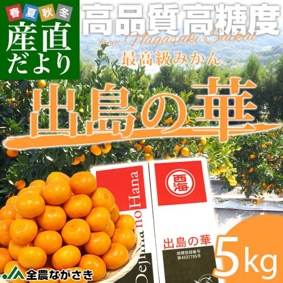 長崎県 JA全農ながさき 最高級みかん 出島の華 約5キロ SからLサイズ (40玉から60玉前後) 送料無料 蜜柑 みかん ミカン02