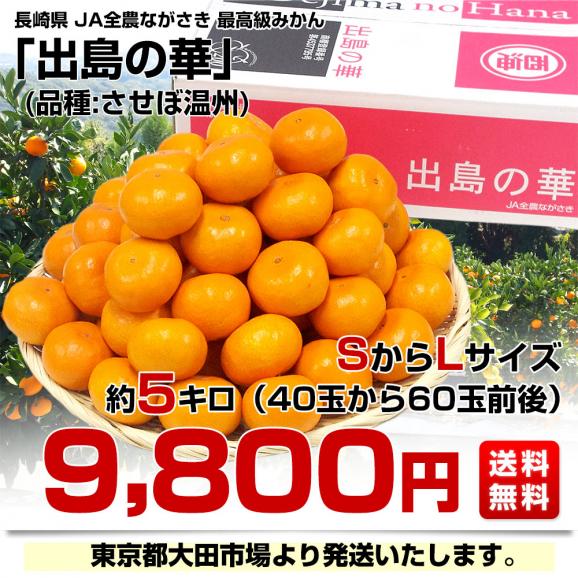 長崎県 JA全農ながさき 最高級みかん 出島の華 約5キロ SからLサイズ (40玉から60玉前後) 送料無料 蜜柑 みかん ミカン03