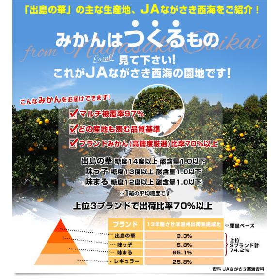長崎県 JA全農ながさき 最高級みかん 出島の華 約5キロ SからLサイズ (40玉から60玉前後) 送料無料 蜜柑 みかん ミカン05