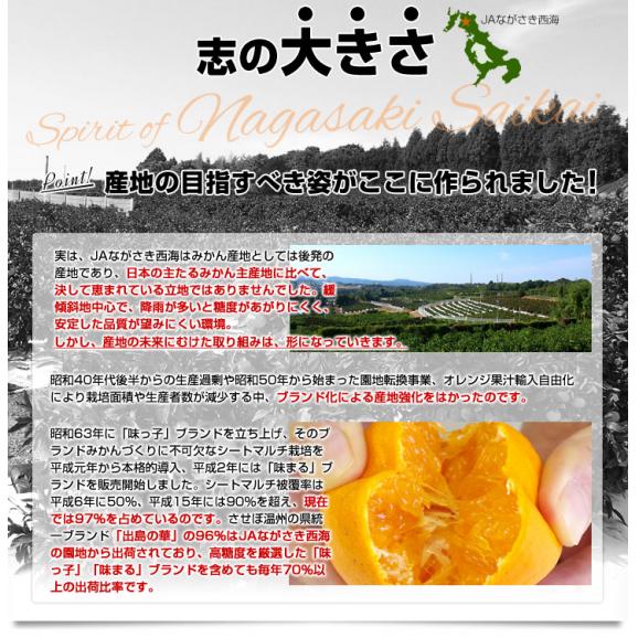 長崎県 JA全農ながさき 最高級みかん 出島の華 約5キロ SからLサイズ (40玉から60玉前後) 送料無料 蜜柑 みかん ミカン06