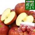 青森県より産地直送 JAつがる弘前 シナノスイート 約3キロ (9玉から13玉) 送料無料 りんご リンゴ 林檎
