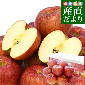 青森県より産地直送 JAつがる弘前 シナノスイート 約3キロ (9玉から13玉) 送料無料 りんご リンゴ 林檎