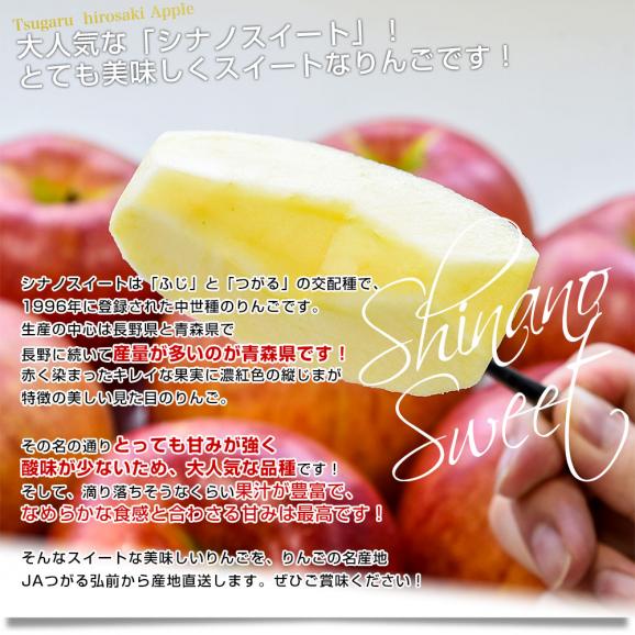 青森県より産地直送 JAつがる弘前 シナノスイート 約3キロ (9玉から13玉) 送料無料 りんご リンゴ 林檎04