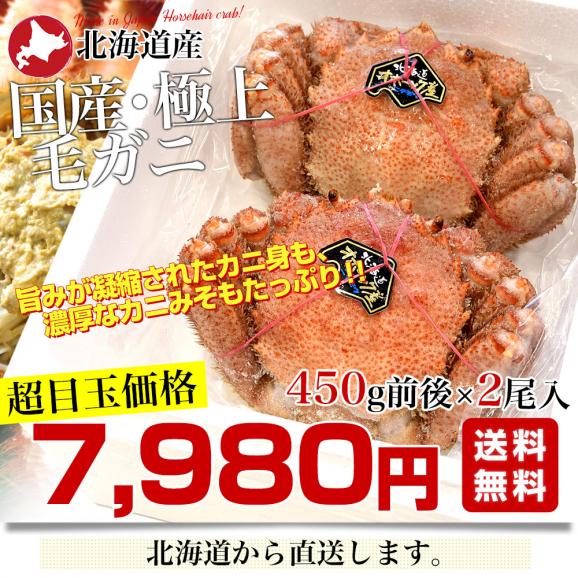 北海道より直送 北海道産 「浜ゆで 毛ガニ」450g前後×2尾入 送料無料　かに カニ 毛ガニ 毛がに 毛蟹 ギフト03