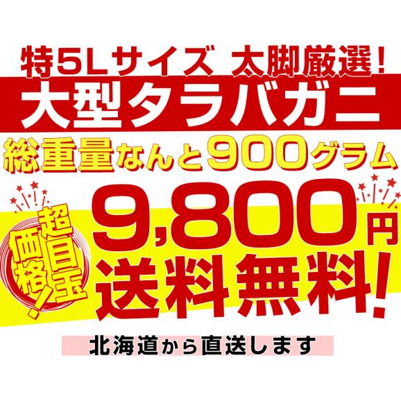 北海道より直送 北海道加工 大型タラバガニ 極太カニ脚 特５Lサイズ１肩900g 送料無料 カニ かに足 蟹足04