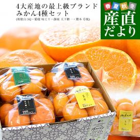 4大産地の最上級みかん4種詰め合わせ(和歌山 SQ・愛媛 味ピカ・静岡 天下糖一・熊本 草枕) LからSサイズ 合計約2.8キロ(各種6玉から9玉×4袋) 送料無料 ミカン ギフト