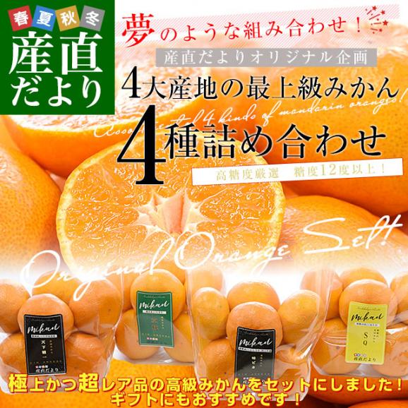 4大産地の最上級みかん4種詰め合わせ(和歌山 SQ・愛媛 味ピカ・静岡 天下糖一・熊本 草枕) LからSサイズ 合計約2.8キロ(各種6玉から9玉×4袋) 送料無料 ミカン ギフト02
