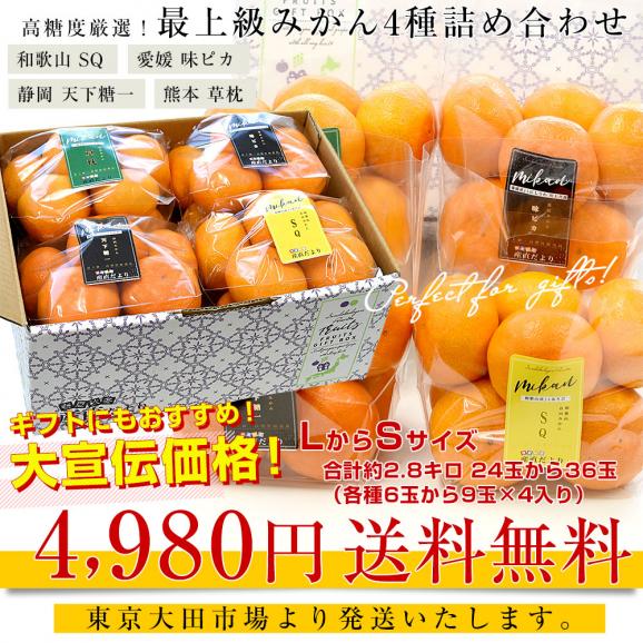4大産地の最上級みかん4種詰め合わせ(和歌山 SQ・愛媛 味ピカ・静岡 天下糖一・熊本 草枕) LからSサイズ 合計約2.8キロ(各種6玉から9玉×4袋) 送料無料 ミカン ギフト03