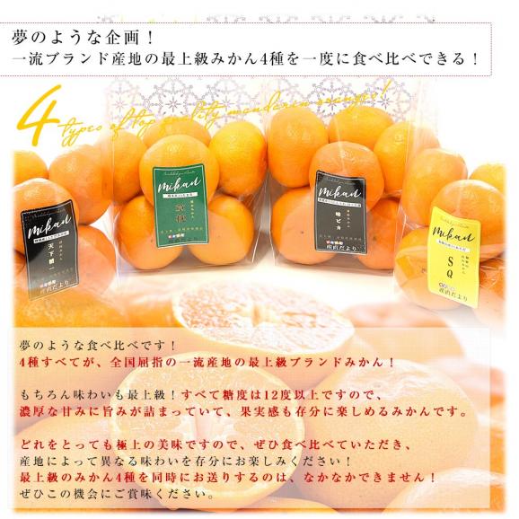 4大産地の最上級みかん4種詰め合わせ(和歌山 SQ・愛媛 味ピカ・静岡 天下糖一・熊本 草枕) LからSサイズ 合計約2.8キロ(各種6玉から9玉×4袋) 送料無料 ミカン ギフト04