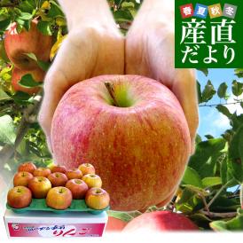 青森県より産地直送 JAつがる弘前 サン北斗 約3キロ (9玉から13玉) 送料無料 りんご リンゴ 林檎