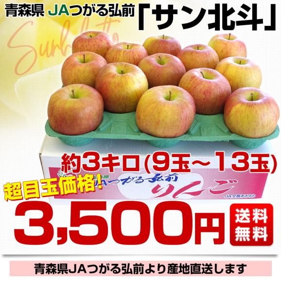 楽天市場】青森県より産地直送 JAつがる弘前 超Big サンふじ