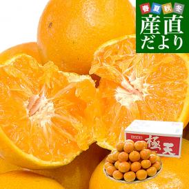 和歌山県 JA紀南 糖度13度以上 紀南みかん「極天」約5キロ LからSサイズ(40玉から60玉前後) 送料無料 蜜柑 ミカン 柑橘 高糖度みかん