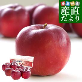 青森県より産地直送 JAつがる弘前 紅玉 約3キロ (9玉から13玉) 送料無料 りんご リンゴ 林檎