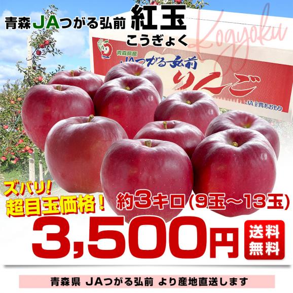 青森県より産地直送 JAつがる弘前 紅玉 約3キロ (9玉から13玉) 送料無料 りんご リンゴ 林檎03