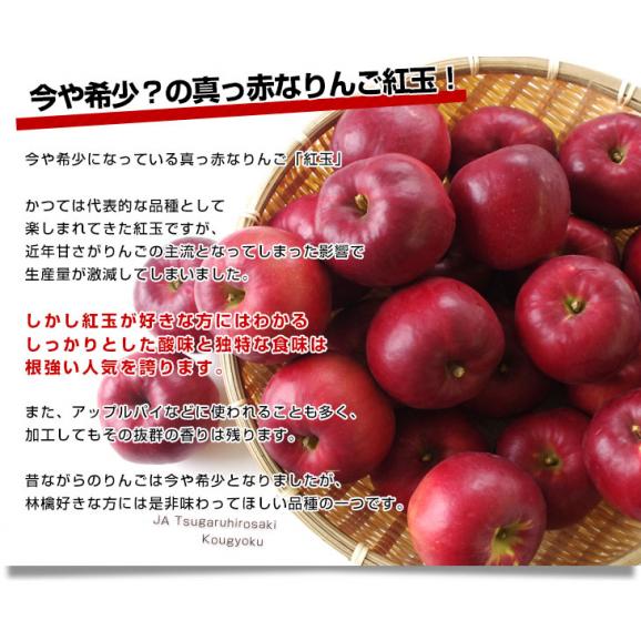 青森県より産地直送 JAつがる弘前 紅玉 約3キロ (9玉から13玉) 送料無料 りんご リンゴ 林檎04