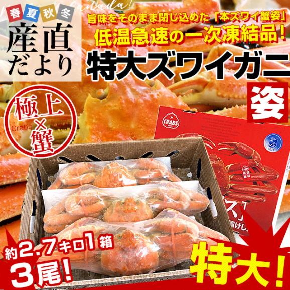 北海道より直送 特大 ボイル本ズワイガニ姿 原箱 2.7キロ（1尾900g×3尾）送料無料 ズワイ かに カニ 蟹02