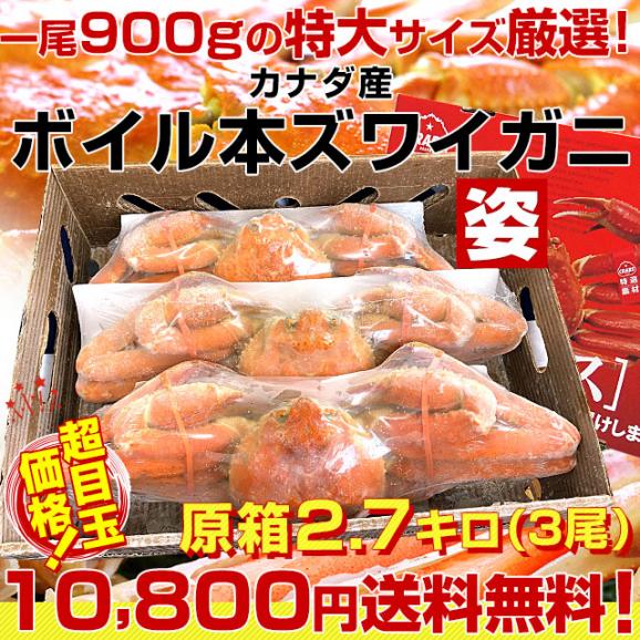 北海道より直送 特大 ボイル本ズワイガニ姿 原箱 2.7キロ（1尾900g×3尾）送料無料 ズワイ かに カニ 蟹03