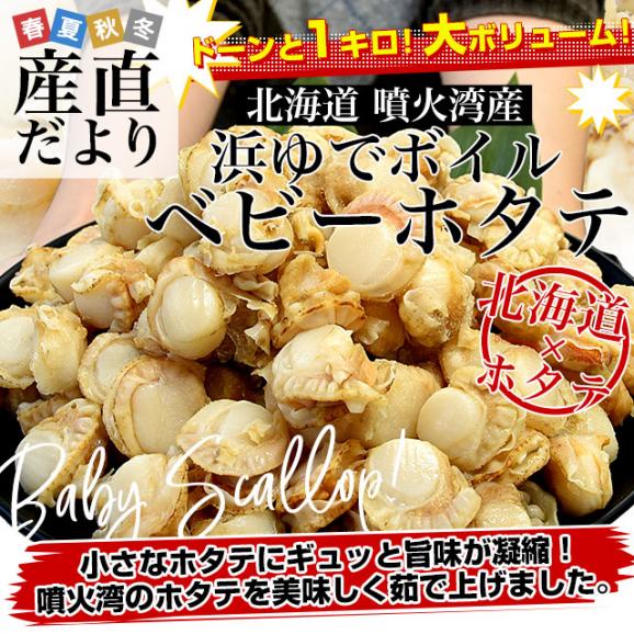 北海道より直送 北海道噴火湾産 ボイルベビーホタテ 1キロ Sサイズ（150粒から200粒） 送料無料 帆立 ほたて02
