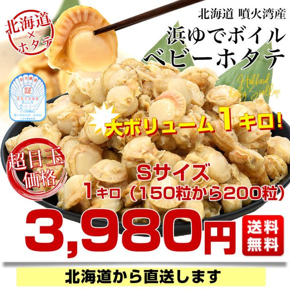 北海道より直送 北海道噴火湾産 ボイルベビーホタテ 1キロ Sサイズ（150粒から200粒） 送料無料 帆立 ほたて03