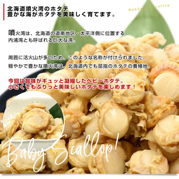 北海道より直送 北海道噴火湾産 ボイルベビーホタテ 1キロ Sサイズ（150粒から200粒） 送料無料 帆立 ほたて04