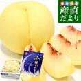 岡山県 JA晴れの国岡山「冬桃がたり」等級：エース 約1.3キロ （5玉から9玉入り） 化粧箱 送料無料 桃 モモ ピーチ