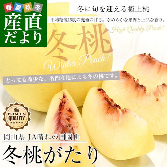 岡山県 JA晴れの国岡山「冬桃がたり」等級：エース 約1.3キロ （5玉から9玉入り） 化粧箱 送料無料 桃 モモ ピーチ02