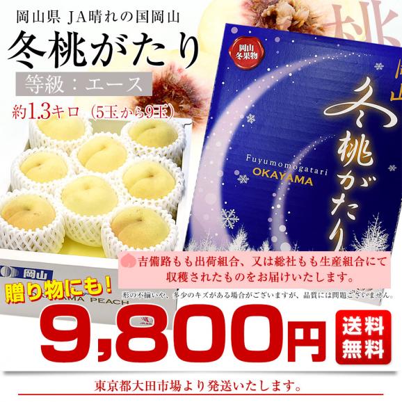 岡山県 JA晴れの国岡山「冬桃がたり」等級：エース 約1.3キロ （5玉から9玉入り） 化粧箱 送料無料 桃 モモ ピーチ03