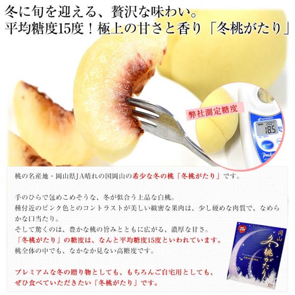岡山県 JA晴れの国岡山「冬桃がたり」等級：エース 約1.3キロ （5玉から9玉入り） 化粧箱 送料無料 桃 モモ ピーチ04