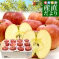 山形県産 JAさがえ西村山 朝日町のサンふじ 約3キロ (10玉から14玉) 送料無料 りんご リンゴ 林檎 市場発送