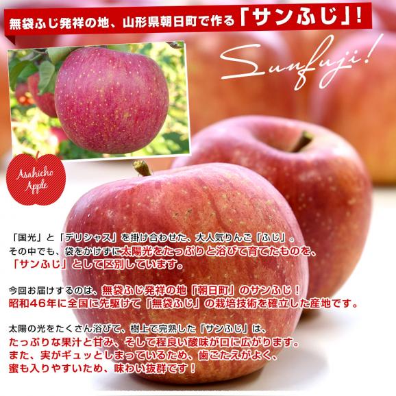 山形県産 JAさがえ西村山 朝日町のサンふじ 約3キロ (10玉から14玉) 送料無料 りんご リンゴ 林檎 市場発送04