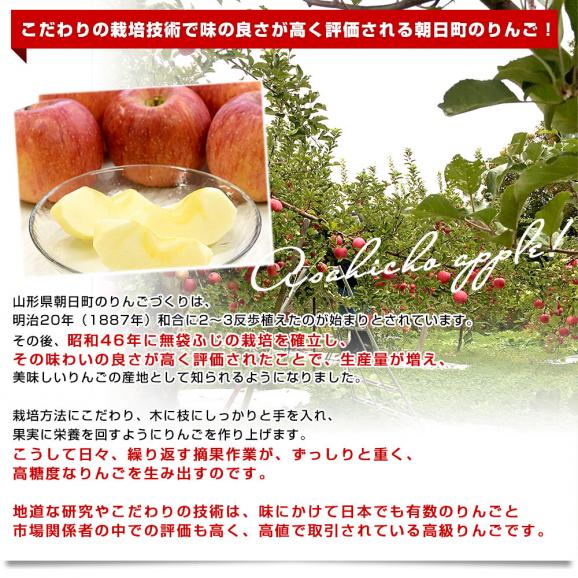 山形県産 JAさがえ西村山 朝日町のサンふじ 約3キロ (10玉から14玉) 送料無料 りんご リンゴ 林檎 市場発送05