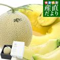 高知県産 最高級マスクメロン「一果相伝(いっかそうでん)」上級品 1玉 約1.6キロ 化粧箱 送料無料 めろん マスクメロン アールスメロン
