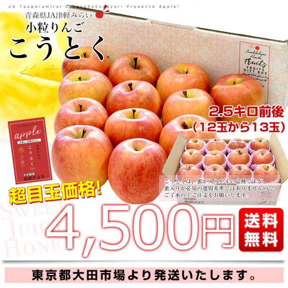 青森産 JA津軽みらい こうとく（高徳） 2.5キロ前後  (12玉から13玉) 送料無料 りんご リンゴ 林檎 市場発送03