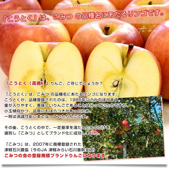 青森産 JA津軽みらい こうとく（高徳） 2.5キロ前後  (12玉から13玉) 送料無料 りんご リンゴ 林檎 市場発送04