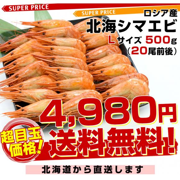 北海道より直送 特大 北海シマエビ Ｌサイズ 500ｇ(20尾前後) 送料無料 しまえび 縞えび エビ03