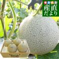 熊本県産 大玉アールスメロン　約8キロ原体箱（4玉から5玉入）送料無料 めろん JA熊本市 JA鹿本 JA熊本うき