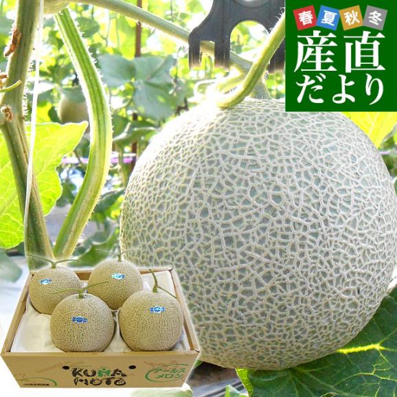 2025 お歳暮【公式】 - 人気ブランド 熊本県産 大玉アールスメロン 約8キロ原体箱（4玉から5玉入 果物