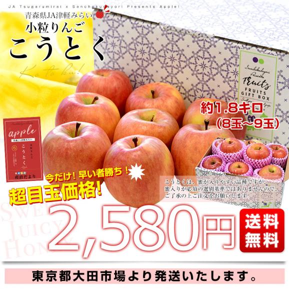 青森産 JA津軽みらい こうとく（高徳）　約1.8キロ (8玉から9玉) 送料無料 りんご リンゴ 林檎 市場発送03