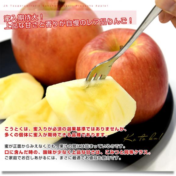 青森産 JA津軽みらい こうとく（高徳）　約1.8キロ (8玉から9玉) 送料無料 りんご リンゴ 林檎 市場発送06
