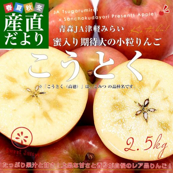 青森産 JA津軽みらい こうとく（高徳） 2.5キロ前後  (12玉から13玉) 送料無料 りんご リンゴ 林檎 市場発送02
