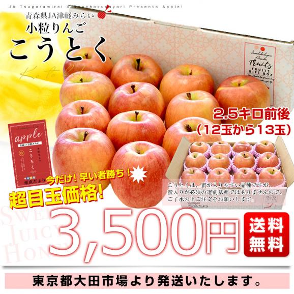 青森産 JA津軽みらい こうとく（高徳） 2.5キロ前後  (12玉から13玉) 送料無料 りんご リンゴ 林檎 市場発送03