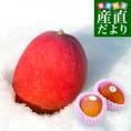 北海道から産地直送 十勝音更町産 十勝完熟マンゴー Mサイズ2個入り（240gから309g×2個） まんごー 送料無料